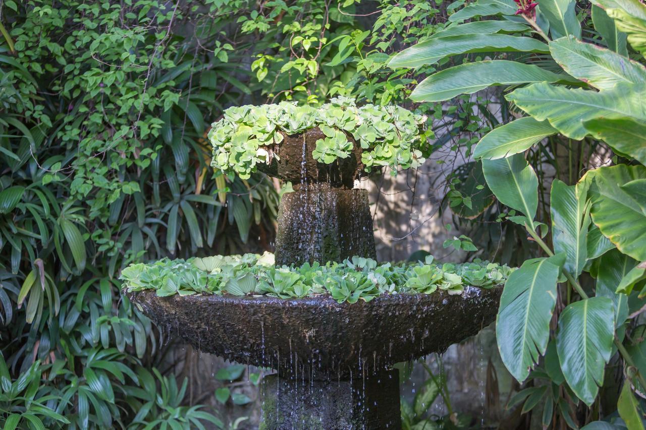 Villa Tangra 세미냑 외부 사진